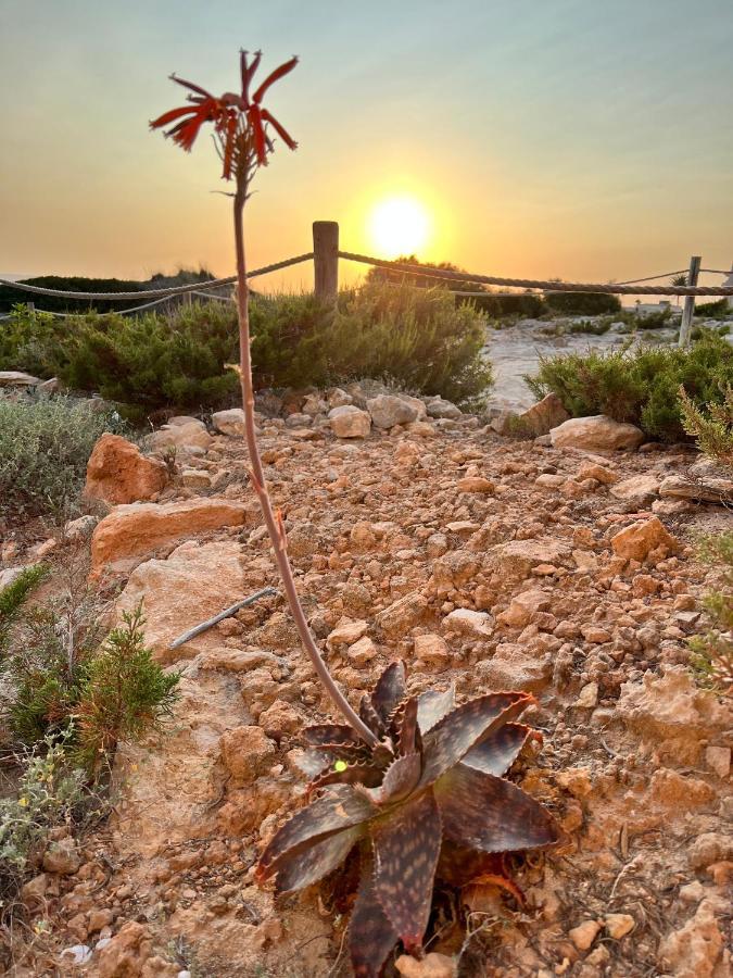 Arenas Del Mar Formentera Vila Es Arenals Exterior foto